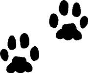 Merci-shop. Samolepka na zeď - Tlapky ( 2,5 x 3 cm ) 010