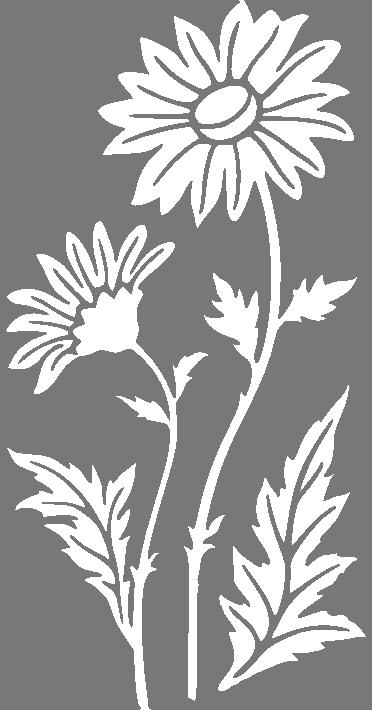 Merci-shop.Samolepky na zeď - Kopretina ( 32 cm x 60 cm ) 061