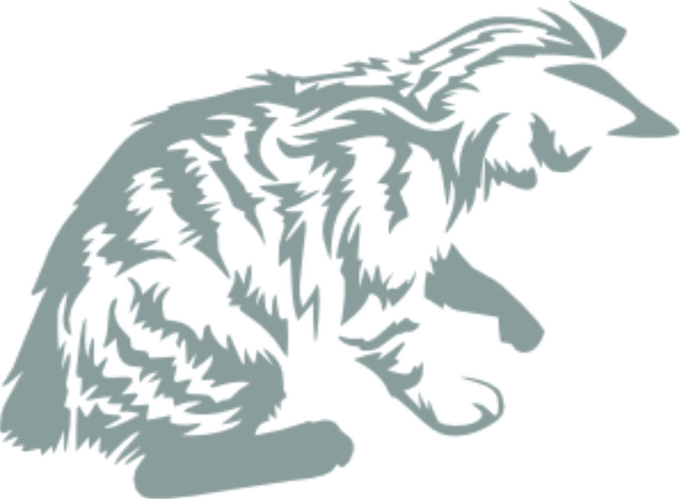 Merci-shop. Samolepka na zeď - Kočka C ( 30 cm x 22 cm ) 074