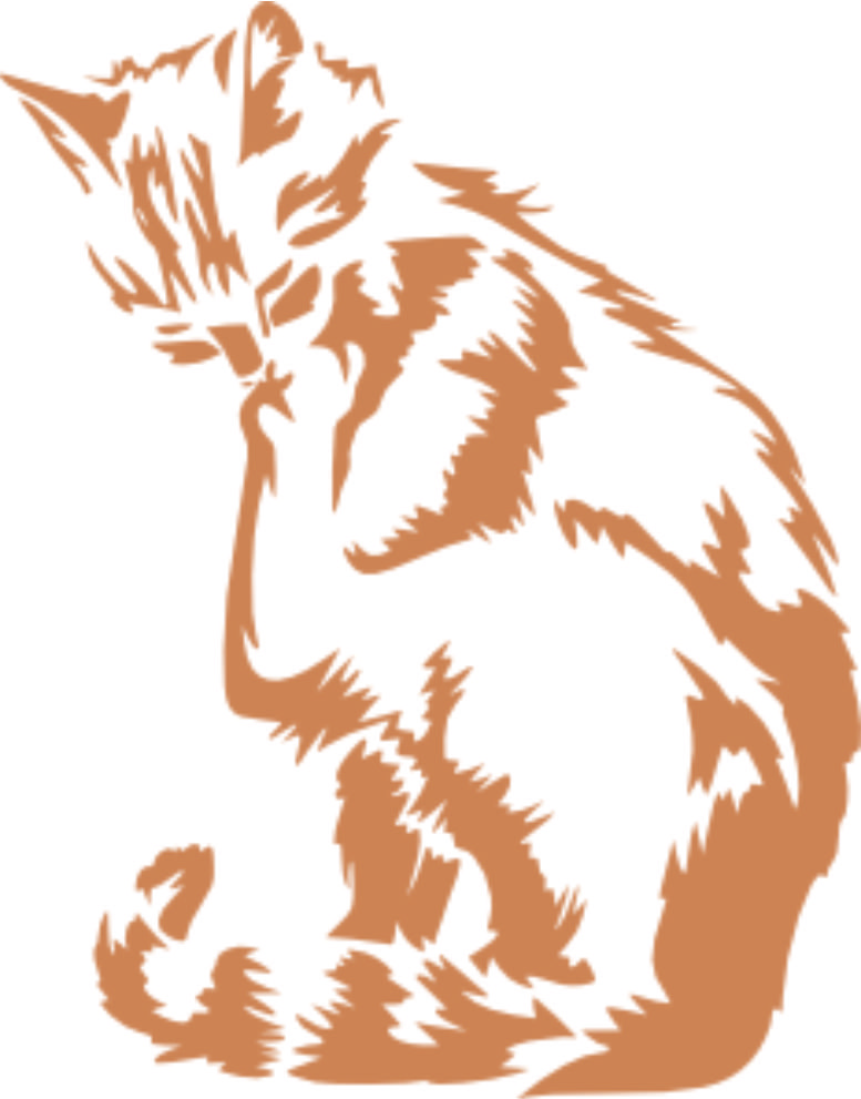 Merci-shop. Samolepka na zeď - Kočka D ( 30 cm x 24 cm ) 010