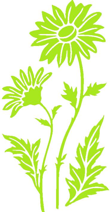 Merci-shop.Samolepky na zeď - Kopretina ( 32 cm x 60 cm ) 061